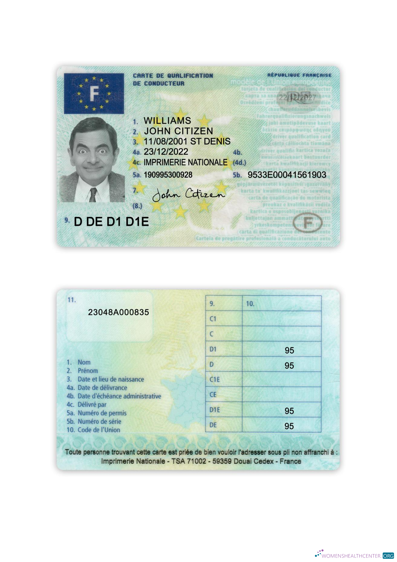 download France driving license 2022 present